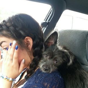 Meet your Posher, Simone